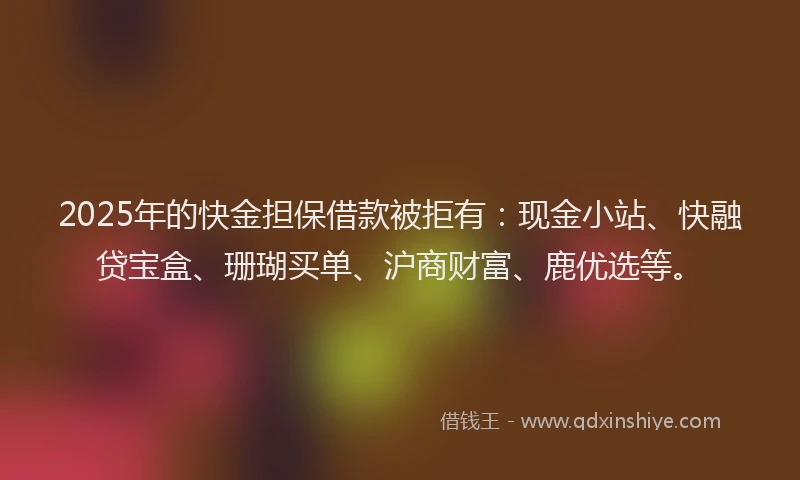 2025年的快金担保借款被拒有：现金小站、快融贷宝盒、珊瑚买单、沪商财富、鹿优选等。