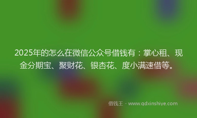 2025年的怎么在微信公众号借钱有：掌心租、现金分期宝、聚财花、银杏花、度小满速借等。