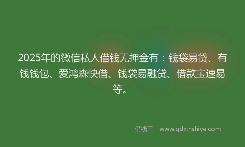 2025年的微信私人借钱无押金有：钱袋易贷、有钱钱包、爱鸿森快借、钱袋易融贷、借款宝速易等。