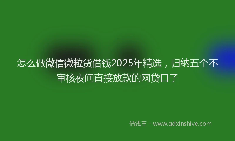 怎么做微信微粒货借钱2025年精选，归纳五个不审核夜间直接放款的网贷口子