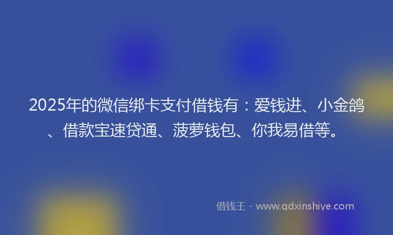 2025年的微信绑卡支付借钱有：爱钱进、小金鸽、借款宝速贷通、菠萝钱包、你我易借等。