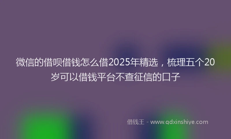 微信的借呗借钱怎么借2025年精选，梳理五个20岁可以借钱平台不查征信的口子
