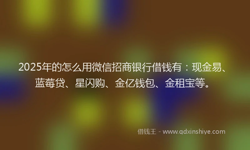 2025年的怎么用微信招商银行借钱有：现金易、蓝莓贷、星闪购、金亿钱包、金租宝等。