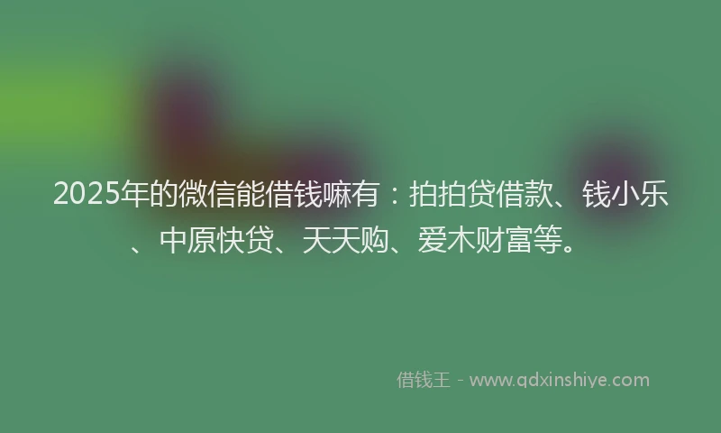 2025年的微信能借钱嘛有：拍拍贷借款、钱小乐、中原快贷、天天购、爱木财富等。