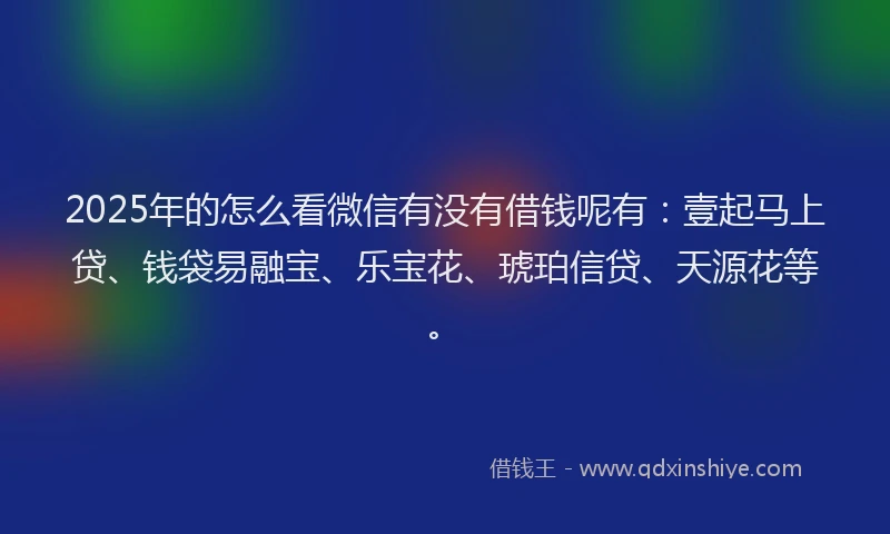 2025年的怎么看微信有没有借钱呢有：壹起马上贷、钱袋易融宝、乐宝花、琥珀信贷、天源花等。