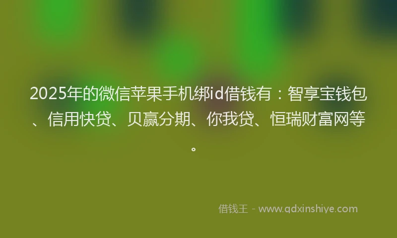 2025年的微信苹果手机绑id借钱有：智享宝钱包、信用快贷、贝赢分期、你我贷、恒瑞财富网等。