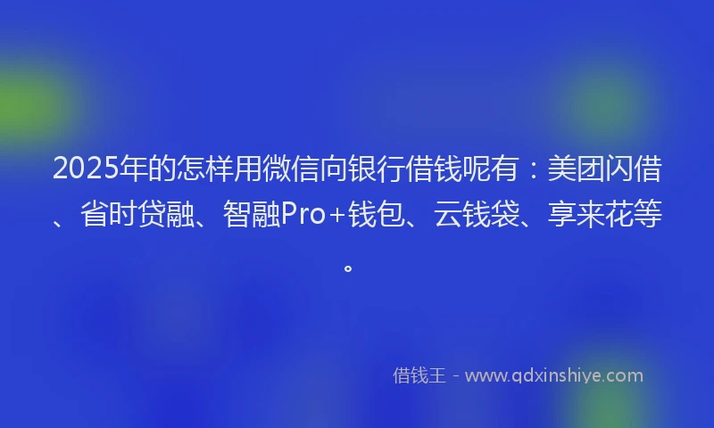 2025年的怎样用微信向银行借钱呢有：美团闪借、省时贷融、智融Pro+钱包、云钱袋、享来花等。