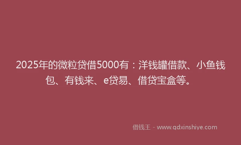 2025年的微粒贷借5000有：洋钱罐借款、小鱼钱包、有钱来、e贷易、借贷宝盒等。