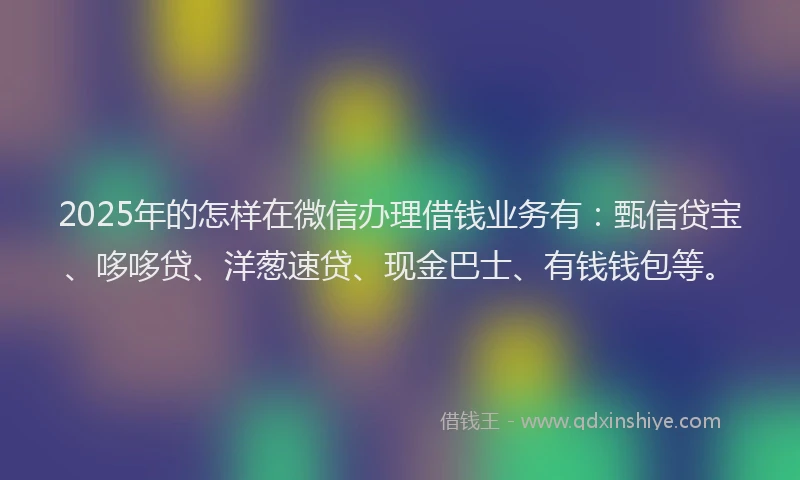 2025年的怎样在微信办理借钱业务有：甄信贷宝、哆哆贷、洋葱速贷、现金巴士、有钱钱包等。