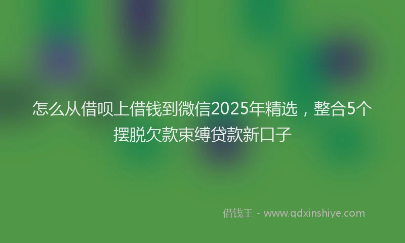 怎么从借呗上借钱到微信2025年精选，整合5个摆脱欠款束缚贷款新口子