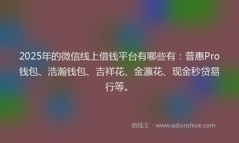 2025年的微信线上借钱平台有哪些有：普惠Pro钱包、浩瀚钱包、吉祥花、金瀛花、现金秒贷易行等。