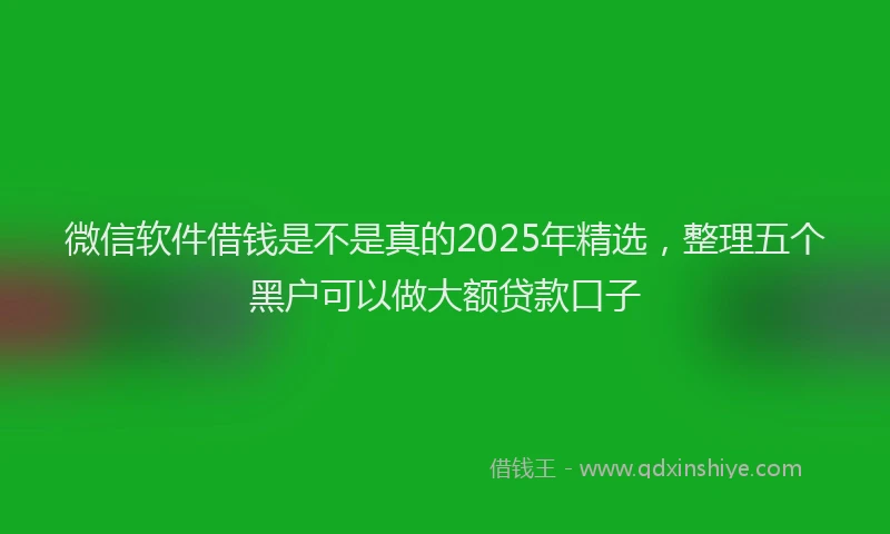 微信软件借钱是不是真的2025年精选，整理五个黑户可以做大额贷款口子