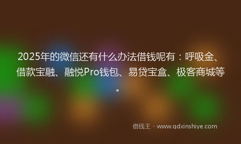 2025年的微信还有什么办法借钱呢有：呼吸金、借款宝融、融悦Pro钱包、易贷宝盒、极客商城等。