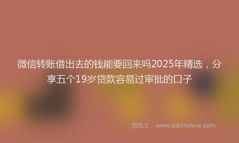 微信转账借出去的钱能要回来吗2025年精选，分享五个19岁贷款容易过审批的口子