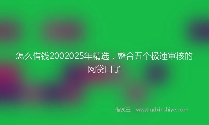 怎么借钱2002025年精选，整合五个极速审核的网贷口子