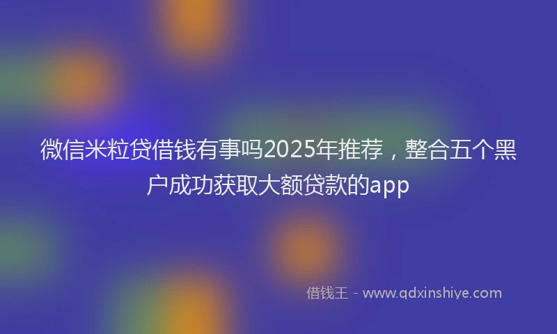 微信米粒贷借钱有事吗2025年推荐，整合五个黑户成功获取大额贷款的app