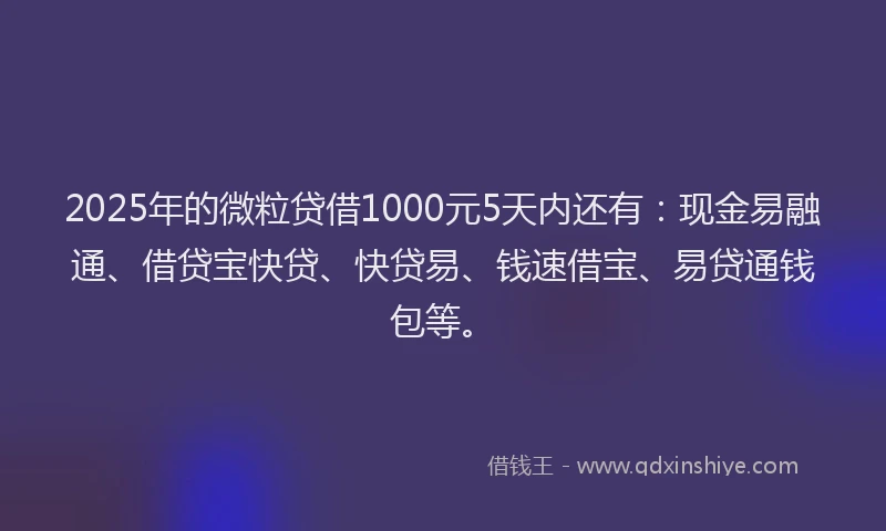 2025年的微粒贷借1000元5天内还有：现金易融通、借贷宝快贷、快贷易、钱速借宝、易贷通钱包等。