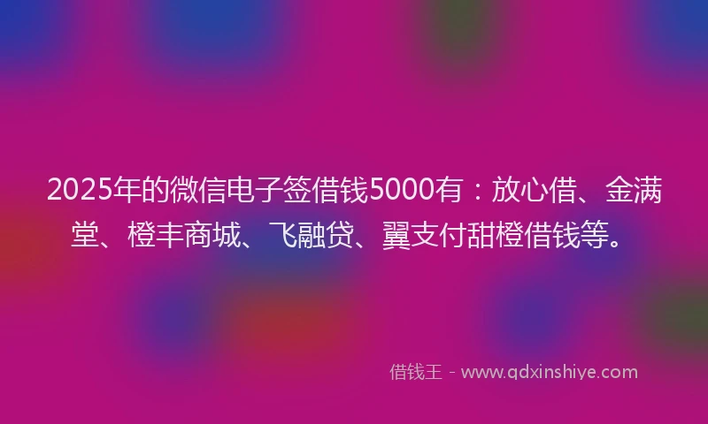 2025年的微信电子签借钱5000有：放心借、金满堂、橙丰商城、飞融贷、翼支付甜橙借钱等。