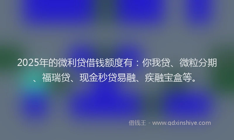 2025年的微利贷借钱额度有：你我贷、微粒分期、福瑞贷、现金秒贷易融、疾融宝盒等。