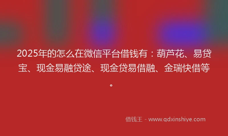 2025年的怎么在微信平台借钱有：葫芦花、易贷宝、现金易融贷途、现金贷易借融、金瑞快借等。