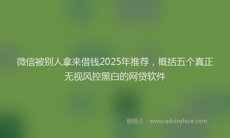 微信被别人拿来借钱2025年推荐，概括五个真正无视风控黑白的网贷软件