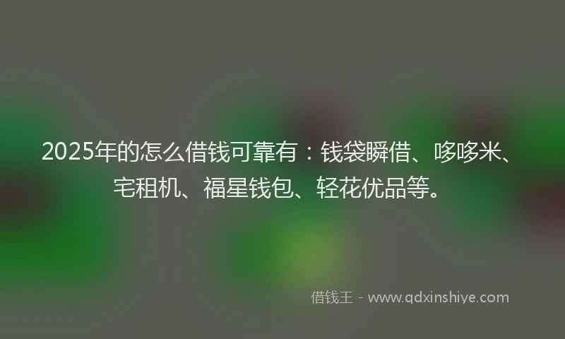 2025年的怎么借钱可靠有：钱袋瞬借、哆哆米、宅租机、福星钱包、轻花优品等。