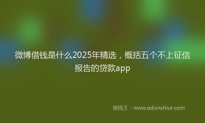 微博借钱是什么2025年精选，概括五个不上征信报告的贷款app