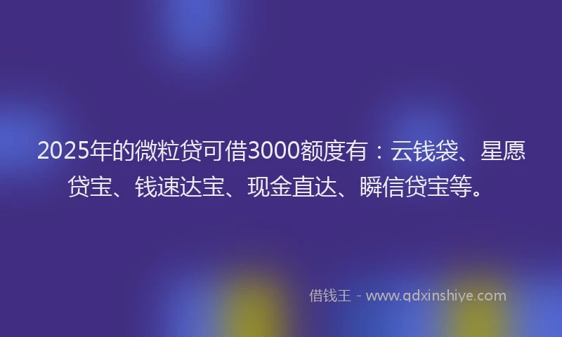 2025年的微粒贷可借3000额度有：云钱袋、星愿贷宝、钱速达宝、现金直达、瞬信贷宝等。