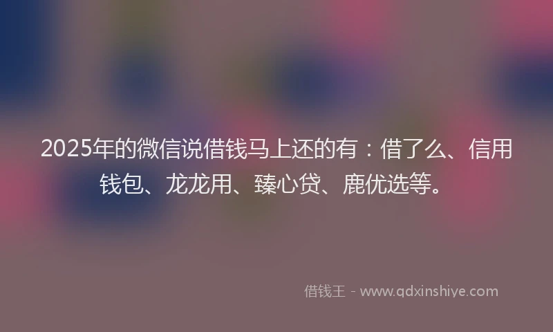 2025年的微信说借钱马上还的有：借了么、信用钱包、龙龙用、臻心贷、鹿优选等。