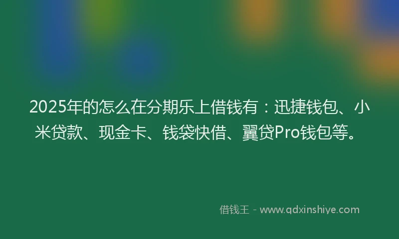 2025年的怎么在分期乐上借钱有：迅捷钱包、小米贷款、现金卡、钱袋快借、翼贷Pro钱包等。