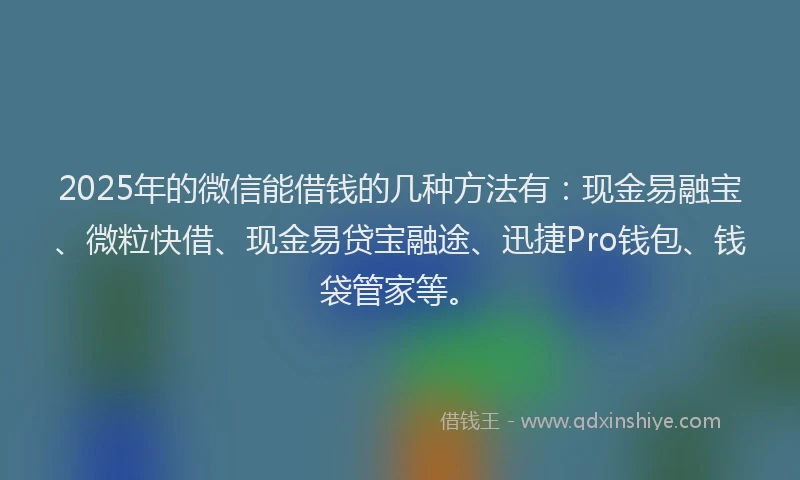 2025年的微信能借钱的几种方法有：现金易融宝、微粒快借、现金易贷宝融途、迅捷Pro钱包、钱袋管家等。