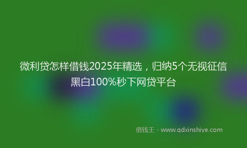 微利贷怎样借钱2025年精选，归纳5个无视征信黑白100%秒下网贷平台