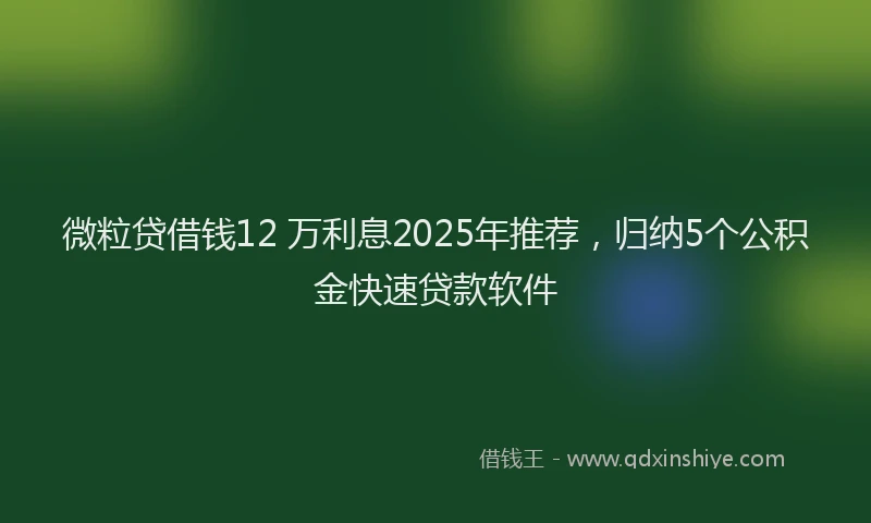 微粒贷借钱12 万利息2025年推荐，归纳5个公积金快速贷款软件