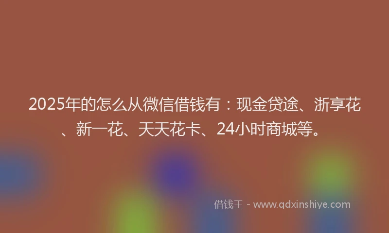 2025年的怎么从微信借钱有：现金贷途、浙享花、新一花、天天花卡、24小时商城等。