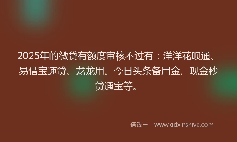 2025年的微贷有额度审核不过有：洋洋花呗通、易借宝速贷、龙龙用、今日头条备用金、现金秒贷通宝等。