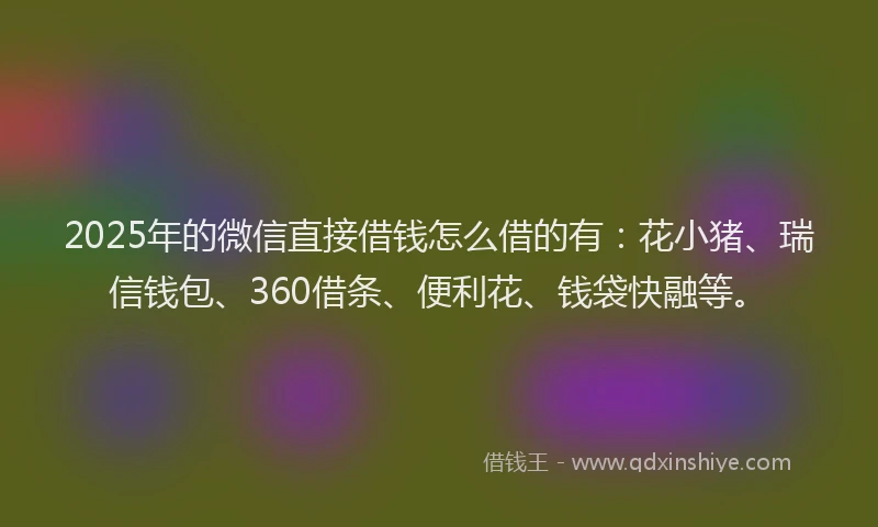 2025年的微信直接借钱怎么借的有：花小猪、瑞信钱包、360借条、便利花、钱袋快融等。