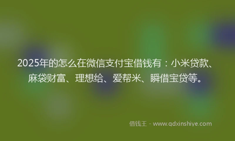 2025年的怎么在微信支付宝借钱有：小米贷款、麻袋财富、理想给、爱帮米、瞬借宝贷等。