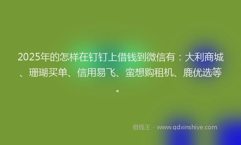 2025年的怎样在钉钉上借钱到微信有：大利商城、珊瑚买单、信用易飞、蛮想购租机、鹿优选等。