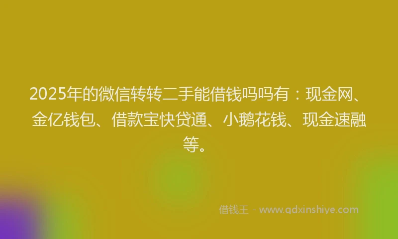 2025年的微信转转二手能借钱吗吗有：现金网、金亿钱包、借款宝快贷通、小鹅花钱、现金速融等。