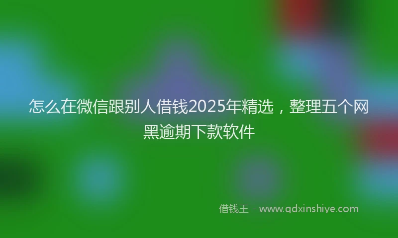 怎么在微信跟别人借钱2025年精选，整理五个网黑逾期下款软件