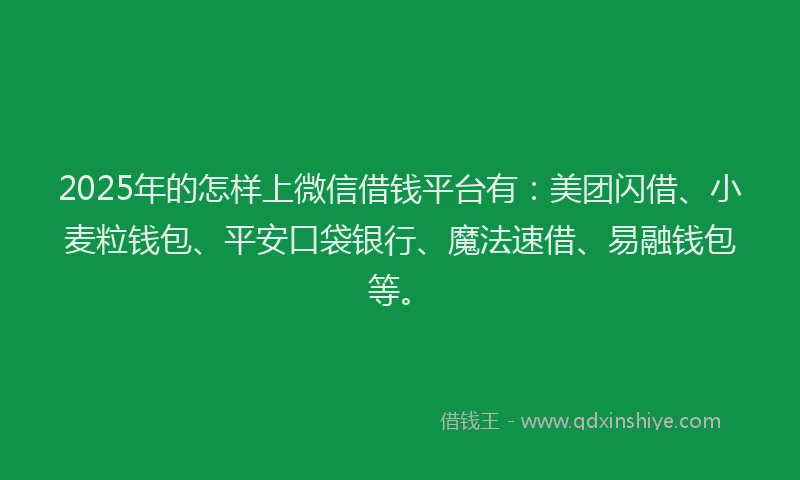 2025年的怎样上微信借钱平台有：美团闪借、小麦粒钱包、平安口袋银行、魔法速借、易融钱包等。