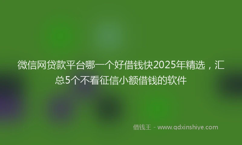 微信网贷款平台哪一个好借钱快2025年精选，汇总5个不看征信小额借钱的软件