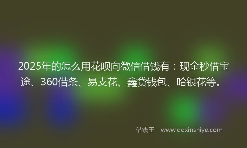 2025年的怎么用花呗向微信借钱有：现金秒借宝途、360借条、易支花、鑫贷钱包、哈银花等。