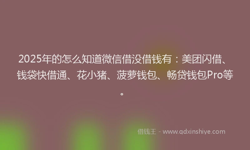 2025年的怎么知道微信借没借钱有：美团闪借、钱袋快借通、花小猪、菠萝钱包、畅贷钱包Pro等。
