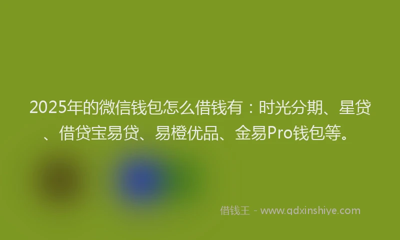 2025年的微信钱包怎么借钱有：时光分期、星贷、借贷宝易贷、易橙优品、金易Pro钱包等。