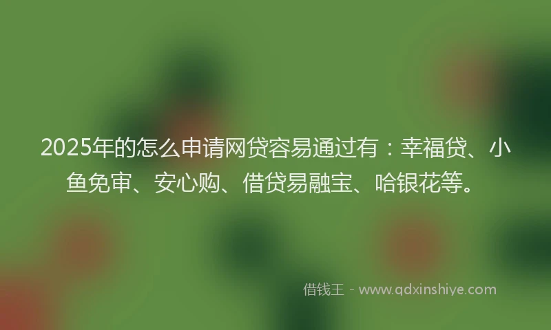 2025年的怎么申请网贷容易通过有：幸福贷、小鱼免审、安心购、借贷易融宝、哈银花等。