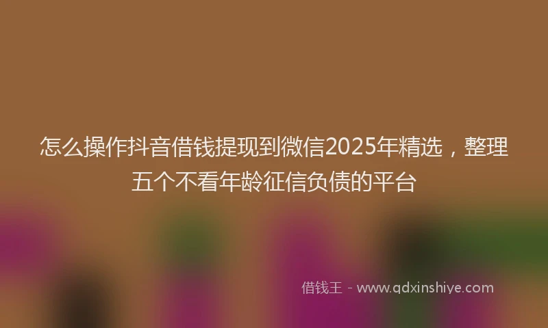 怎么操作抖音借钱提现到微信2025年精选，整理五个不看年龄征信负债的平台