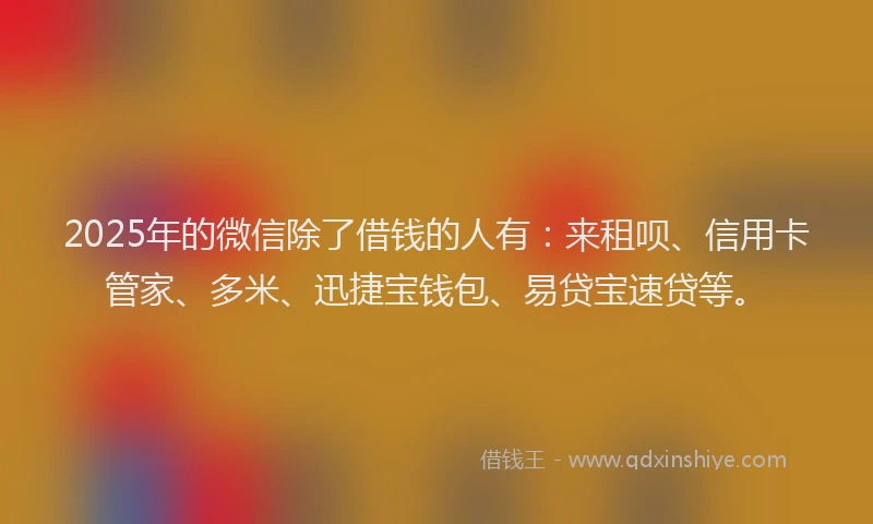 2025年的微信除了借钱的人有：来租呗、信用卡管家、多米、迅捷宝钱包、易贷宝速贷等。