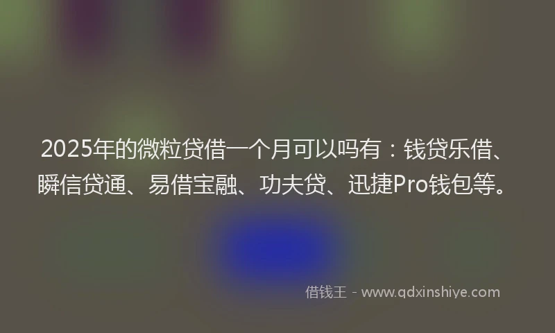 2025年的微粒贷借一个月可以吗有：钱贷乐借、瞬信贷通、易借宝融、功夫贷、迅捷Pro钱包等。