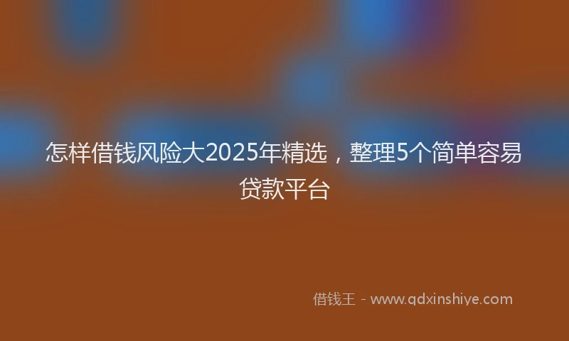怎样借钱风险大2025年精选，整理5个简单容易贷款平台